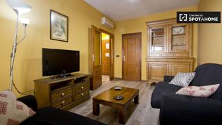 Flat in Embajadores-Lavapiés