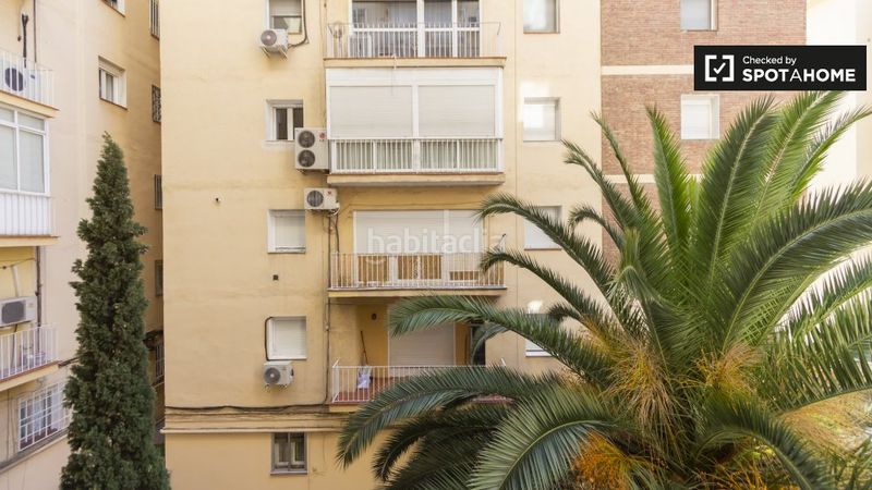 Foto 303328f8-12ef-4b63-a76b-bd2e6b729ba6. Alquiler piso estudio en alquiler en Prosperidad, en Madrid