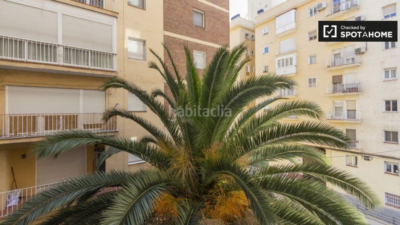 Foto dab70dad-141d-4c48-a016-7998ba99ab63. Alquiler piso estudio en alquiler en Prosperidad, en Madrid