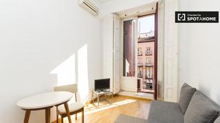 Miete Etagenwohnung in Palacio. Apartamento de 1 dormitorio con aire acondicionado en alquiler e