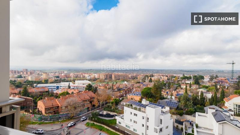 Foto 257deec8-10ad-4f05-9860-52d9900859e4. Alquiler piso  de 1 dormitorio en alquiler en Pilar, . en Madrid