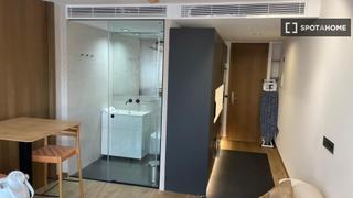 Location Appartement à Cuatro Caminos - Azca. Estudio en madrid