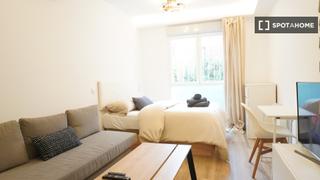 Miete Etagenwohnung in Almenara-Ventilla. Estudio en alquiler en almenara, madrid