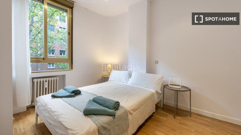 Foto 050b3b0b-152f-47ec-aa80-e9fd61f18f5a. Alquiler piso  en alquiler de 1 dormitorio en castillejos, en Madrid