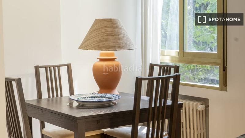 Foto 16a889a7-0827-489a-8cd7-3e4cb31a6121. Alquiler piso  en alquiler de 1 dormitorio en castillejos, en Madrid