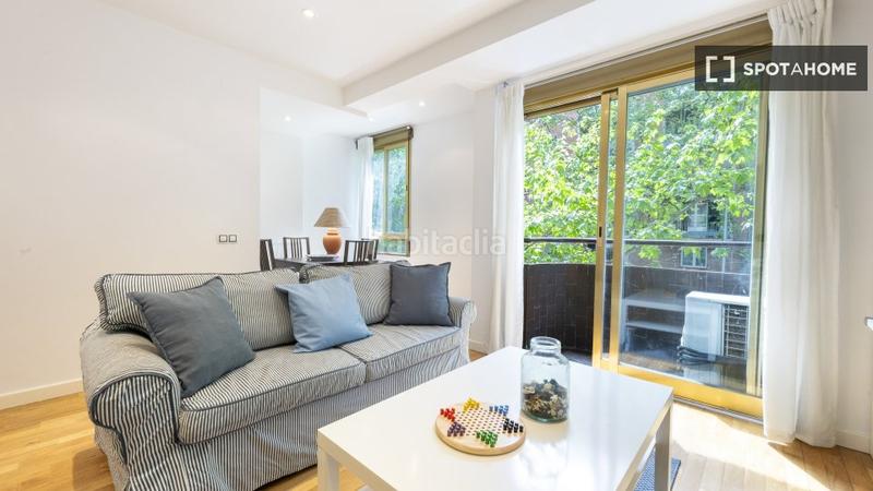 Foto f54b9617-1730-46c0-94d7-a4dd829127f6. Alquiler piso  en alquiler de 1 dormitorio en castillejos, en Madrid