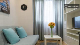 Miete Etagenwohnung in Sol. Estudio en alquiler en sol, madrid.