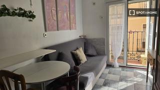 Rent Flat in Embajadores-Lavapiés. Apartamento de 1 dormitorio en alquiler en embajadores, madrid