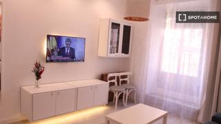 Miete Etagenwohnung in Embajadores-Lavapiés. Estudio en alquiler en embajadores, madrid