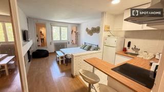 Miete Etagenwohnung in Hispanoamérica-Bernabéu. Estudio en alquiler en hispanoamérica, madrid