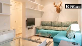 Lloguer Pis a Lista. Apartamento de 2 dormitorios en alquiler en lista, madrid.