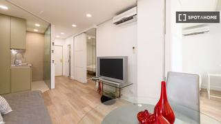 Flat in Cuatro Caminos - Azca