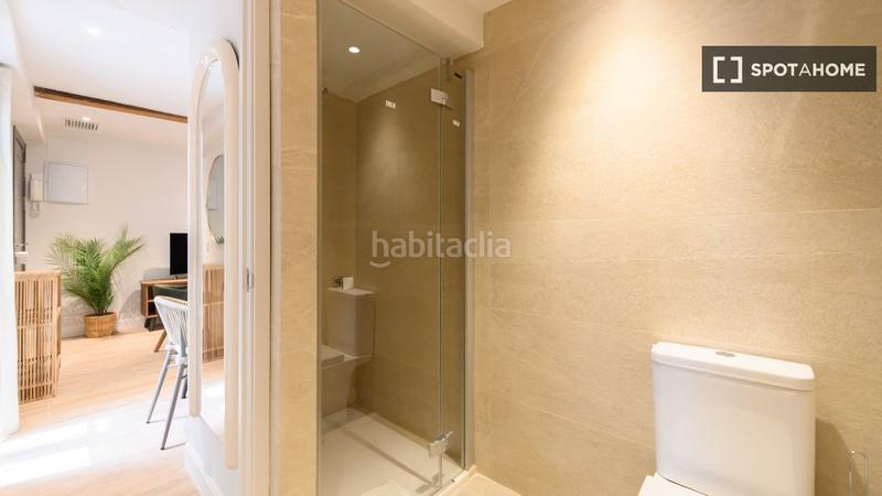 Foto 61885ae5-5f3b-4201-9720-3523df003d0f. Alquiler piso  de 1 dormitorio en alquiler en embajadores, . en Madrid