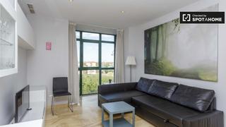Lloguer Pis a San Isidro. Apartamento de 1 dormitorio en alquiler en san isidro, madrid