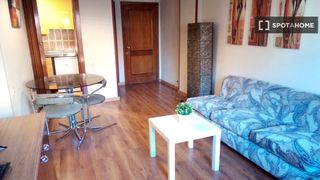 Location Appartement à Nueva España. Estudio en alquiler en nueva españa, madrid