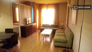 Location Appartement à Nueva España. Estudio en alquiler en nueva españa, madrid