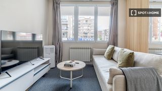 Rent Flat in Hispanoamérica-Bernabéu. Estudio en alquiler en hispanoamérica, madrid