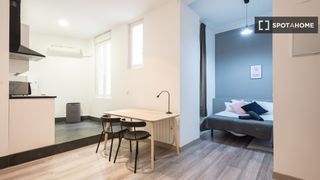 Flat in Sol