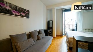 Rent Flat in Embajadores-Lavapiés. Estudio en alquiler en embajadores, madrid.