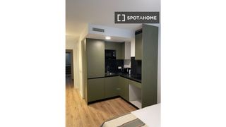Miete Etagenwohnung in Opañel. Estudio en alquiler en san isidro, madrid
