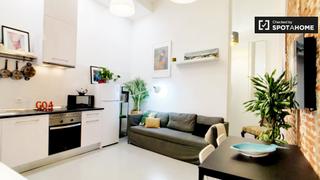 Rent Flat in Embajadores-Lavapiés. Apartamento de 1 dormitorio en alquiler en lavapiés, madrid.