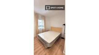 Flat in Quintana