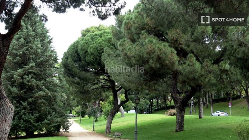 Foto c9c29ae9-2e12-47c7-99e0-6bbfa08c2a4c. Alquiler piso  de 1 dormitorio en alquiler en Gaztambide, en Madrid