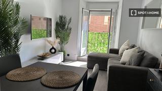 Flat in Embajadores-Lavapiés