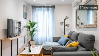 Flat in Embajadores-Lavapiés