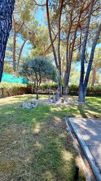 Foto 70c90a15-1785-4731-87e1-623e2bde830c. Xalet amb xemeneia calefacció aparcament piscina a Madrid