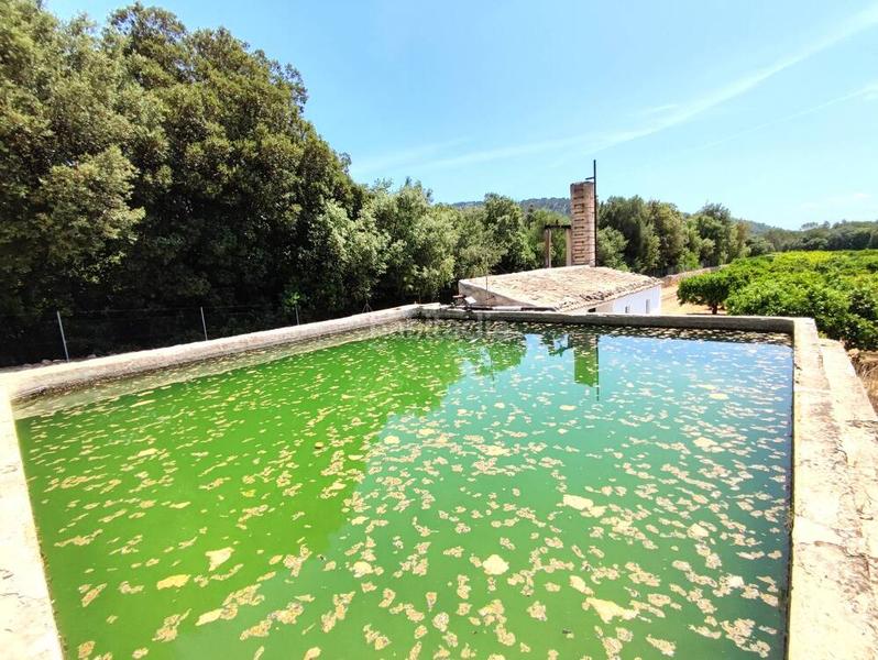 Foto 0c1268b3-eb23-4b40-b103-bfd70eb2c093. Bauernhof mit pool in Sa Pobla