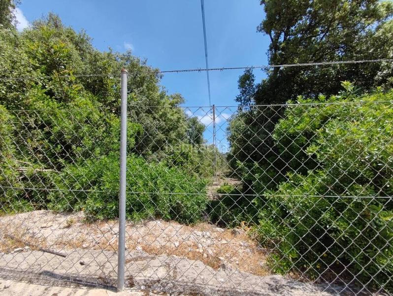 Foto b65addd7-9be6-4213-89ae-e7433243f6c7. Bauernhof mit pool in Sa Pobla