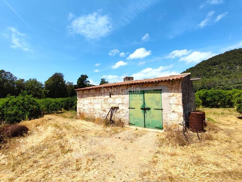 Foto c3697d45-8628-49ab-a426-ba680a495c41. Bauernhof mit pool in Sa Pobla