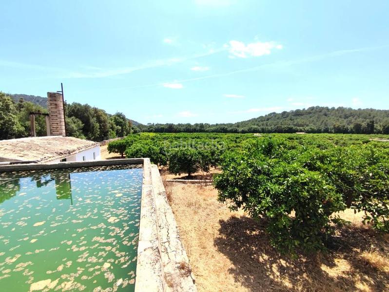 Foto c89abb3c-ded5-4ef3-ab04-f46b5923f9e3. Bauernhof mit pool in Sa Pobla