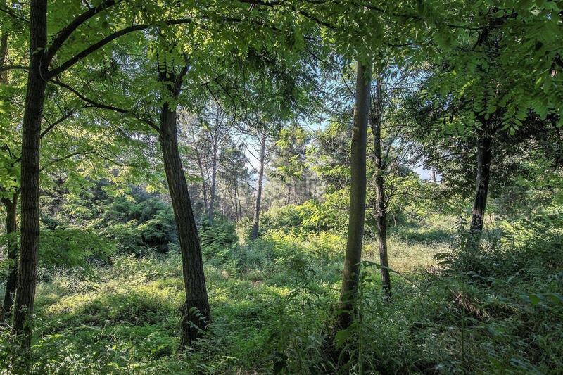 Foto 1ff8991a-6757-4d14-bb2e-ba09c731451e. Casa a Arxiu Sant Cugat del Vallès