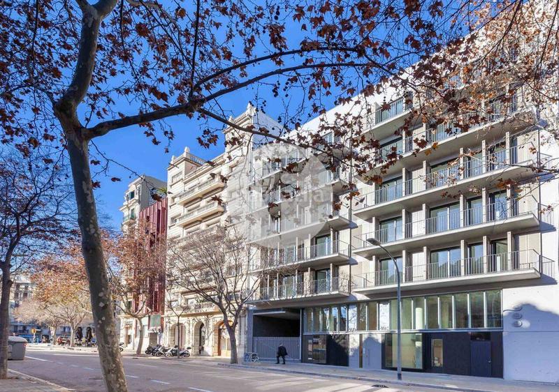 Foto 8de8f080-510d-4160-b9c6-fb4ecbe00a97. Rent business premise in Fort Pienc Barcelona