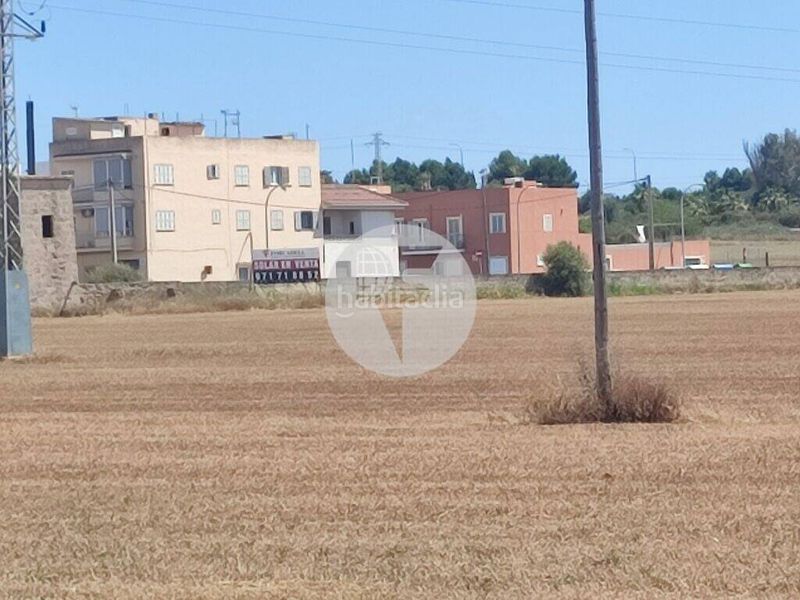 Foto 0e799601-8edc-4211-aab9-a18534fdf103. Terreno residenziale in Es Pil·larí Palma de Mallorca