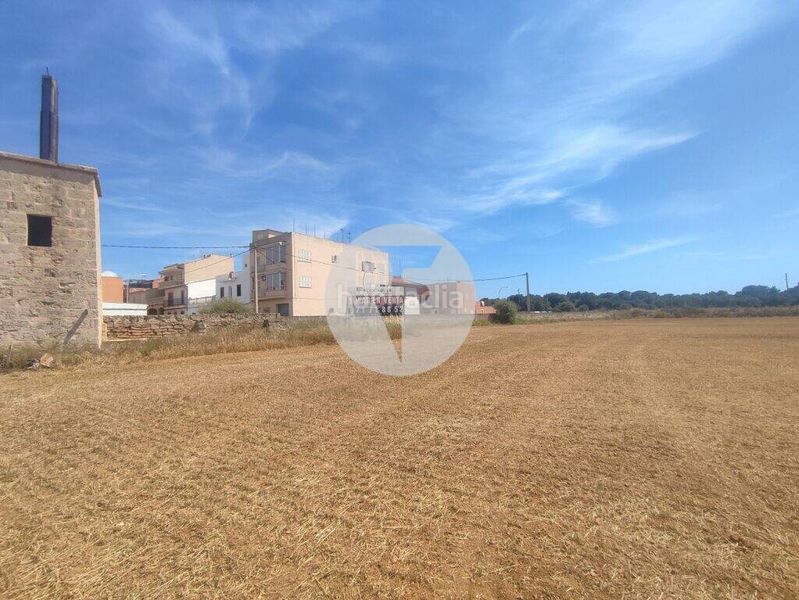 Foto abda2c55-ccb7-42e9-91d7-b49df63f1989. Terreno residenziale in Es Pil·larí Palma de Mallorca