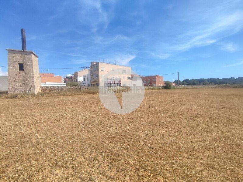 Foto bd3bb14f-55a6-4065-b91d-d726e56f407b. Terreno residenziale in Es Pil·larí Palma de Mallorca