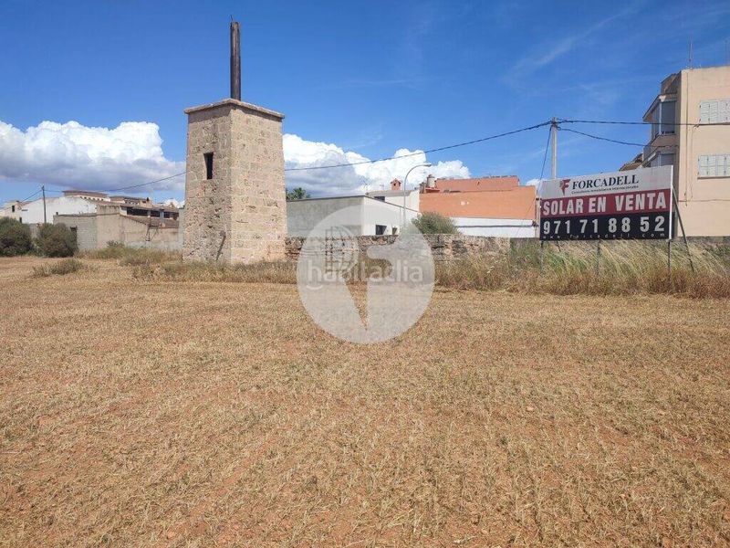 Foto ea7ecd28-9823-49e8-b0e6-66248d4f181c. Terreno residenziale in Es Pil·larí Palma de Mallorca