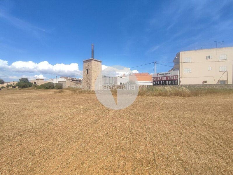 Foto f7cedcd8-85f8-4b3d-a688-62880afd4d11. Terreno residenziale in Es Pil·larí Palma de Mallorca