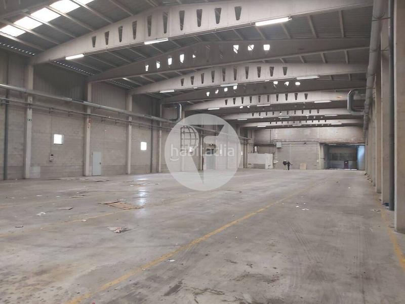 Foto 46b0f2ae-ef98-47c0-86a1-553be29defaf. Rent industrial building in Granvia LH Hospitalet de Llobregat (L´)