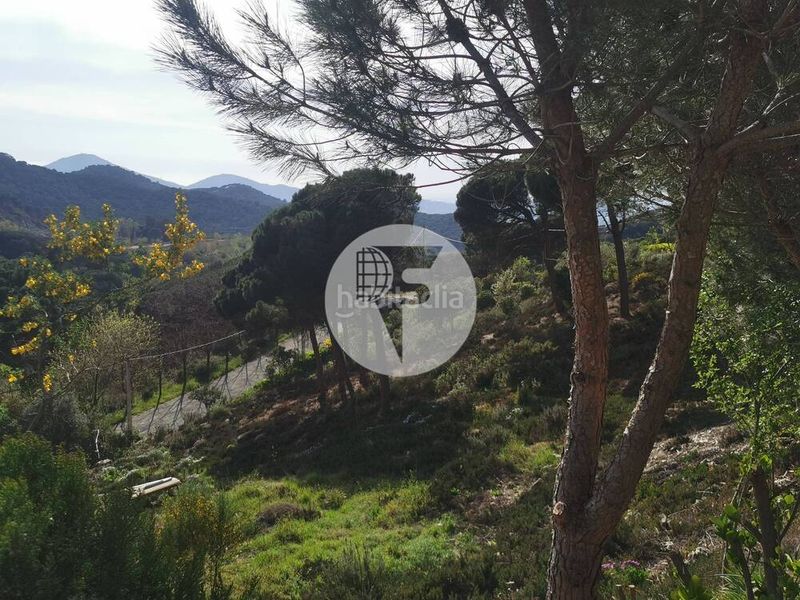 Foto 060ae575-6005-43c5-98ab-eb8c69b936a7. Terreno residenziale in Vilanova del Vallès