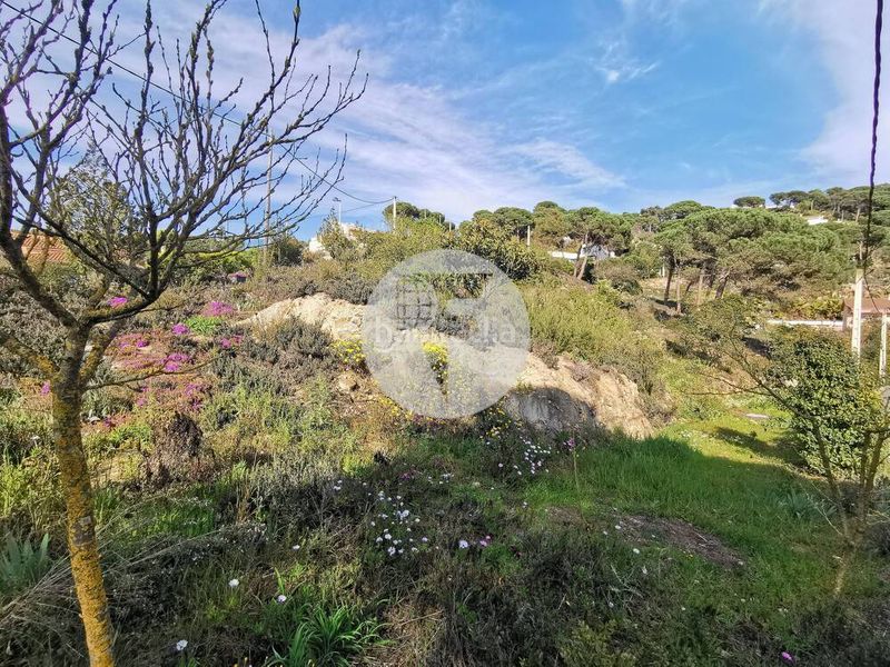Foto 4ed9d21c-30e4-4273-b075-8ee45c91fcd5. Terreno residenziale in Vilanova del Vallès