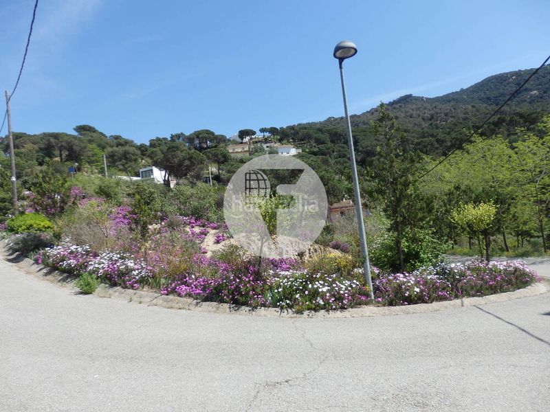 Foto 87dfb8f1-a63f-4d3f-b262-8cb8e9a703d4. Terreno residenziale in Vilanova del Vallès