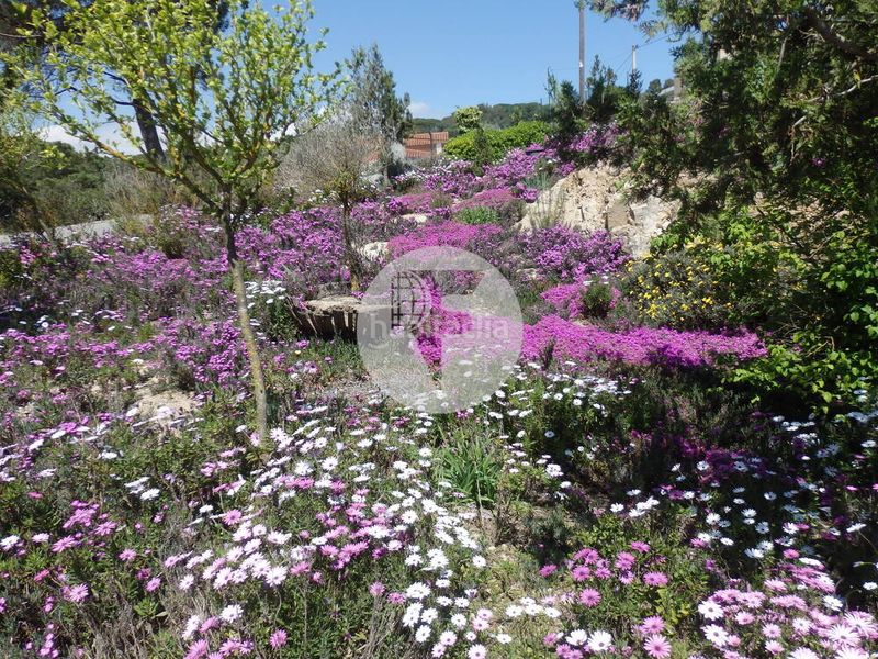 Foto abaf5eca-be3a-40b0-9db0-0dbe1402eb61. Terreno residenziale in Vilanova del Vallès