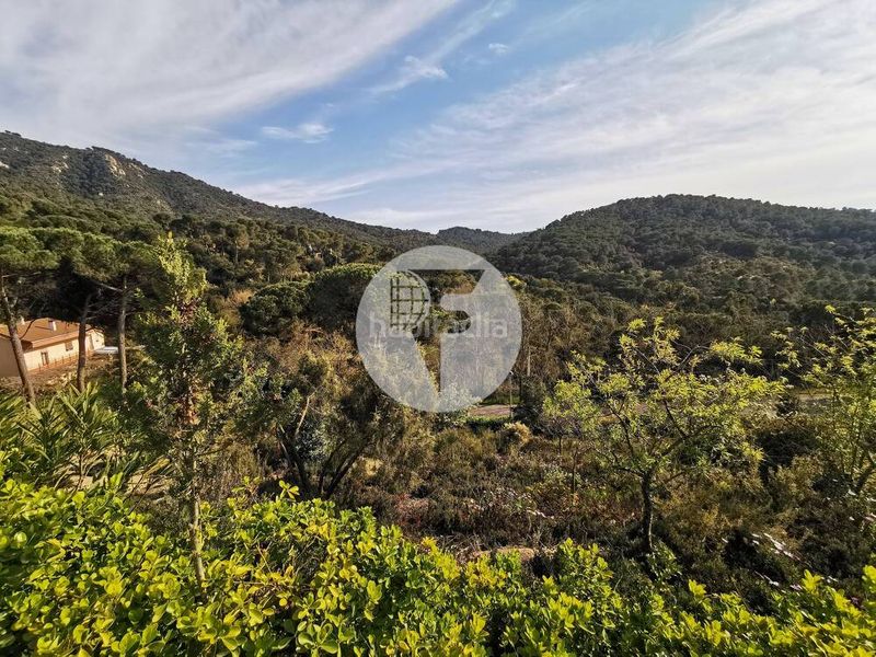 Foto bddaa623-9613-4371-b8a4-0d7cbd980eee. Terreno residenziale in Vilanova del Vallès