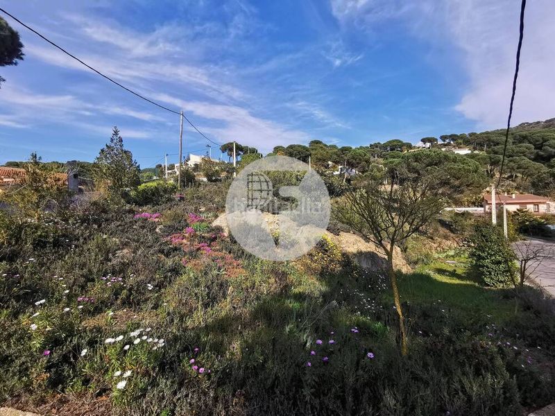 Foto e4bdd217-d454-4637-a9f6-1893aff28950. Terreno residenziale in Vilanova del Vallès