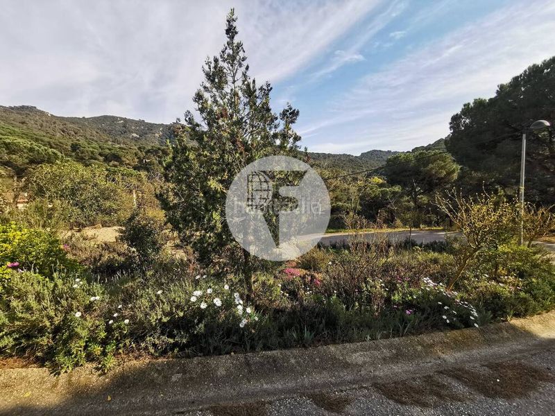 Foto f43d77c9-61ce-4a66-8794-cd1431459101. Terreno residenziale in Vilanova del Vallès