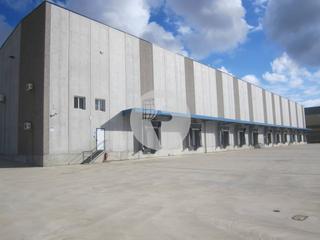 Lloguer Nau industrial a Pla de Santa Maria (El). Nave logística en alquiler situada en el pla de santa maria, tar